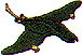 ch0057.gif