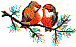 ch0106.gif