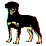 dg0054.gif