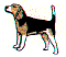 dg0064.gif