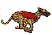 dg0067.gif