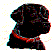 dg0097.gif