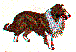 dg0117.gif