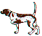 dg0123.gif