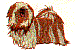 dg0125.gif