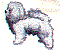 dg0147.gif