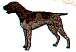 dg0155.gif