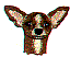 dg0156.gif
