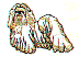 dg0158.gif