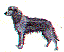 dg0159.gif