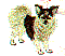dg0165.gif