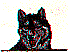 dt0028.gif