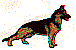 dt0030.gif