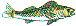 dt0073.gif