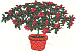 dt0090.gif