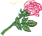 dt0106.gif