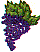 dt0171.gif