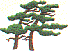 dt0358.gif
