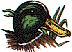 dt0601.gif
