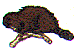 dt0604.gif