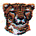 dt0608.gif
