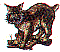 dt0609.gif