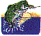 dt0623.gif