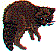 dt0842.gif
