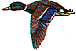 dt0847.gif