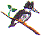 dt0860.gif