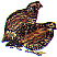 dt0861.gif