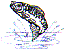 dt0875.gif