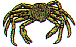 dt0879.gif
