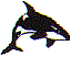 dt0882.gif