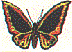 dt0988.gif