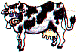 dt0994.gif