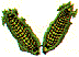 dt1155.gif