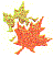 dt1159.gif