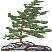 dt1163.gif