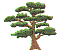 dt1168.gif