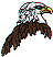 dt1228.gif