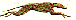 dt1261.gif