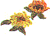 dt1359.gif