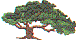 fl0081.gif