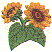 fl0107.gif