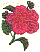 fl0109.gif