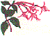 fl0113.gif