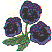 fl0115.gif