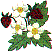 fl0116.gif
