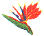 fl0117.gif